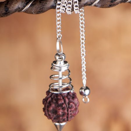 Rudraksha Inga
