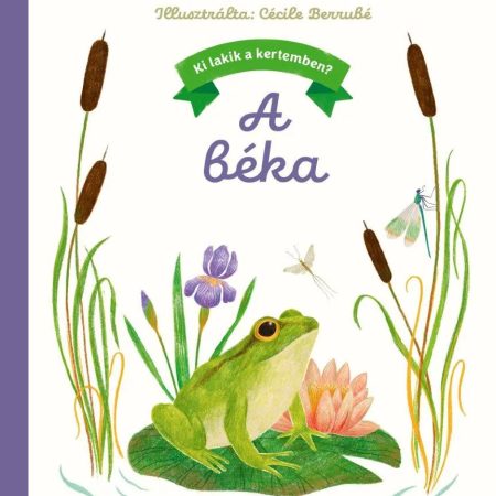 Ki lakik a kertemben? – A béka