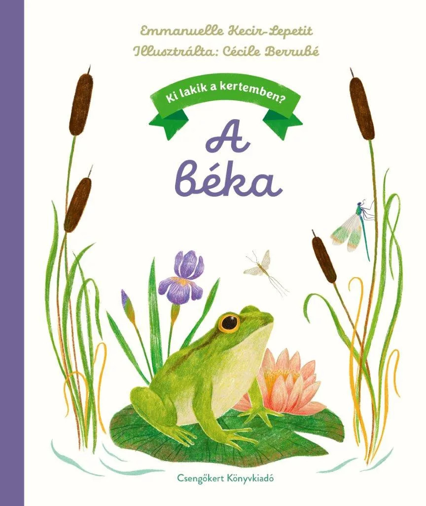 Ki lakik a kertemben? – A béka