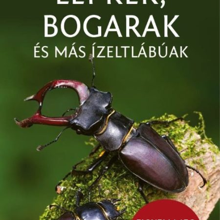 Lepkék