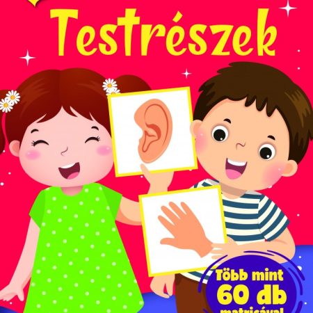 Testrészek - foglalkoztató gyerekeknek (szállítási sérült)
