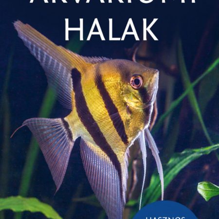 Akváriumi halak - Halbarátok zsebkönyve