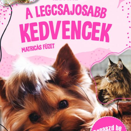 A legcsajosabb kedvencek-matricás füzet