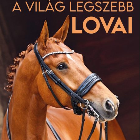 A világ legszebb lovai 22 lófajta bemutatása ÚJ