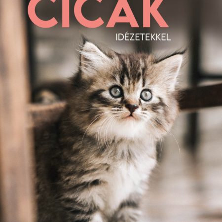 2025 Naptár: Cicák