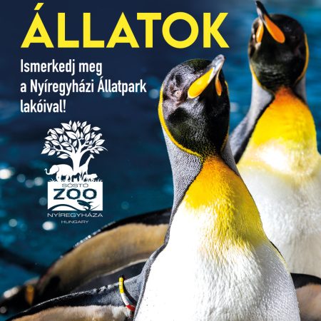 2025 Naptár: Cuki állatok