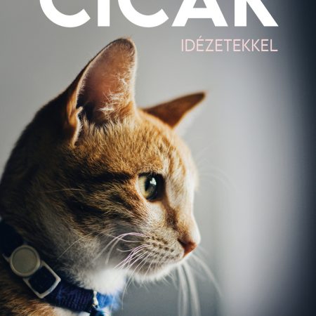 2027 Naptár: Cicák idézetekkel