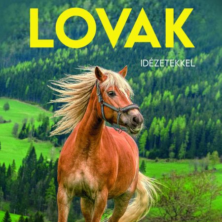 2027 Naptár: Lovak idézetekkel