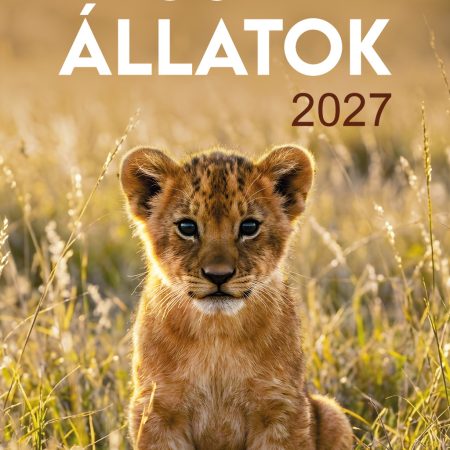 2027 Naptár: Cuki állatok