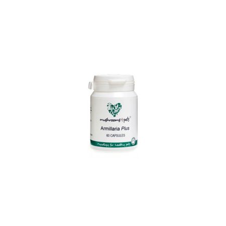 Armillaria Plus (500 mg) 60 db
