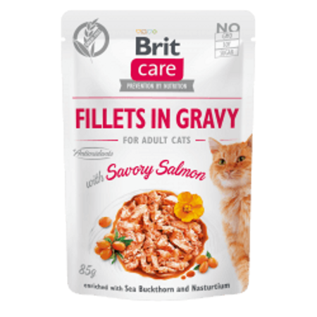Brit Care Cat Fillets in Gravy with Savory Salmon 12x85 g