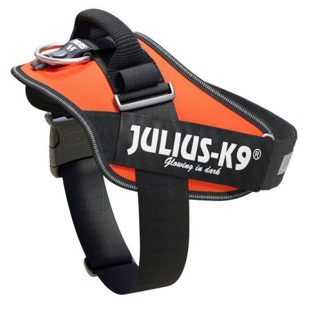 Julius-K9 IDC Powerhám