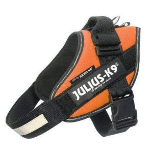Julius-K9 IDC Powerhám