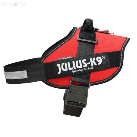 Julius-K9 IDC Powerhám