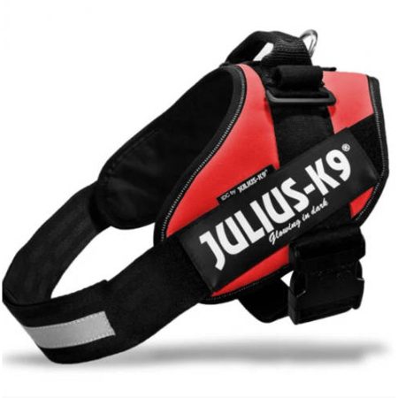 Julius-K9 IDC Powerhám
