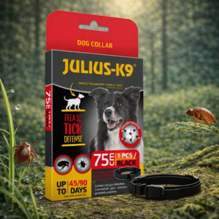 Julius-K9 Dog Collar - Bolha-