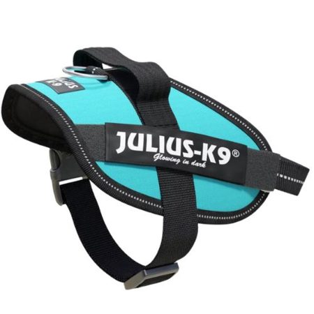 Julius-K9 IDC Powerhám