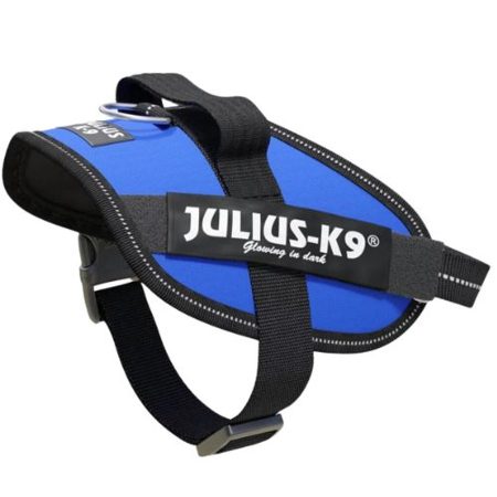 Julius-K9 IDC Powerhám