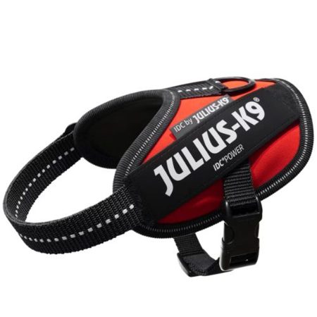 Julius-K9 IDC Powerhám