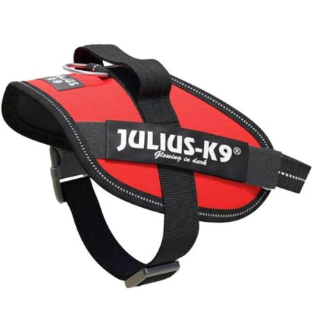 Julius-K9 IDC Powerhám