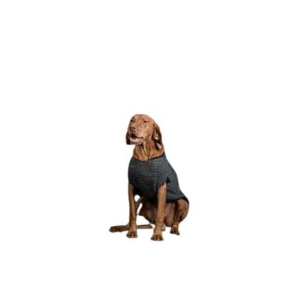 NR Dogs Kutyaruha Szürke S