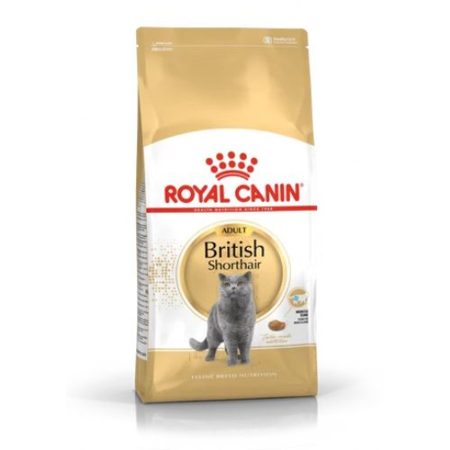 Royal Canin British Shorthair Adult 4 kg