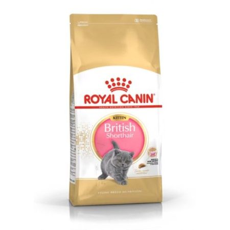 Royal Canin British Shorthair Kitten 2 kg