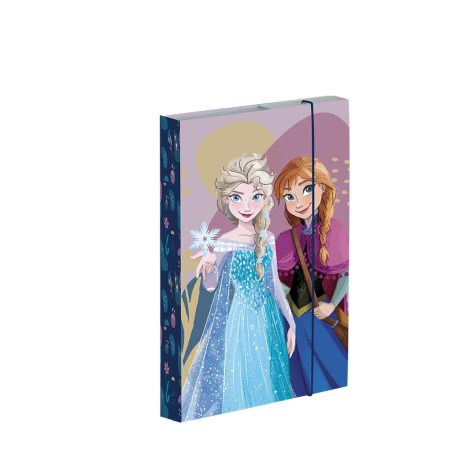 Füzetbox A5 Frozen