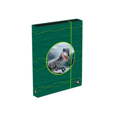 Füzetbox A4 Jumbo OXY Sherpy Green