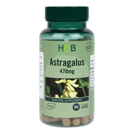 Astragalus