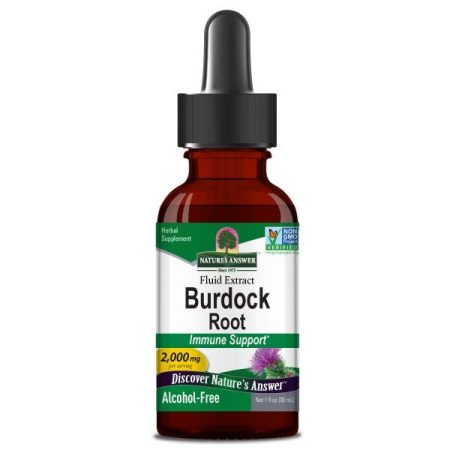 Burdock Root