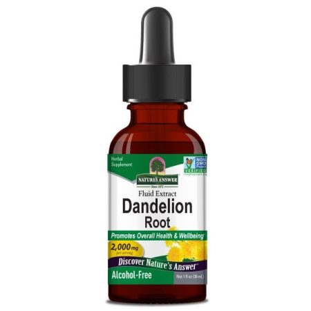 Dandelion Root