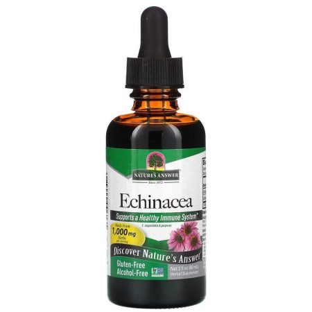 Echinacea Root