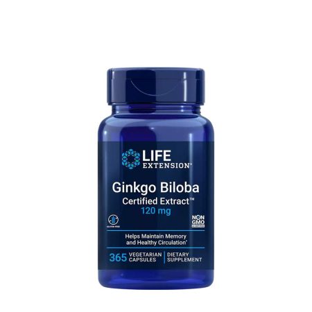 Ginkgo Biloba
