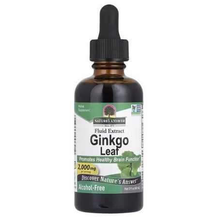 Ginkgo Leaf