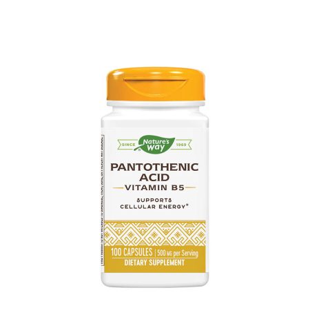 Natures Way Vitamin B6 (100 Capsules)