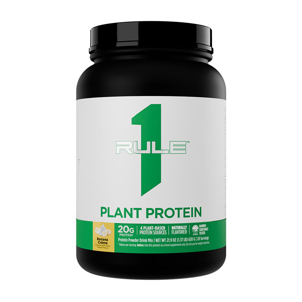Plant Protein