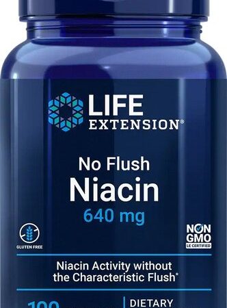 B3 / niacin - No Flush Niacin - 100 kapszula
