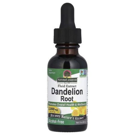 Pitypang - Dandelion Root