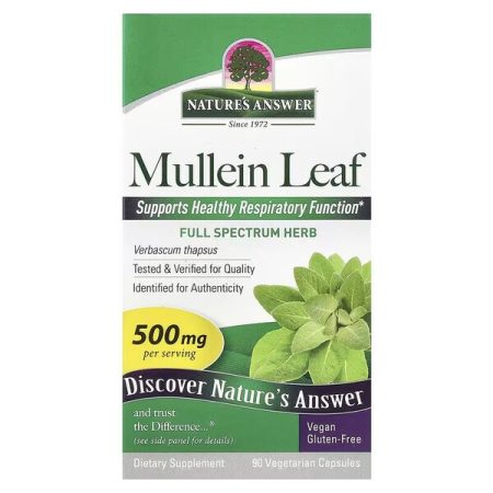 Mullein Leaf