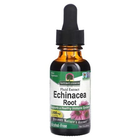 Echinacea Root
