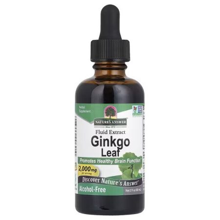 Ginkgo biloba - Ginkgo Leaf