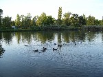 (23.) 13.jpg