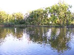(19.) 17.jpg