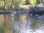 (17.) 19.jpg