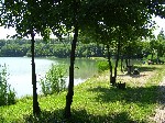 (6.) 4.jpg