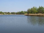 (36.) haldorado11.jpg