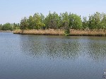 (35.) haldorado12.jpg