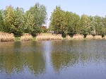 (34.) haldorado13.jpg