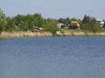 (32.) haldorado15.jpg